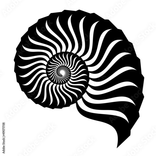 vector shell silhouette