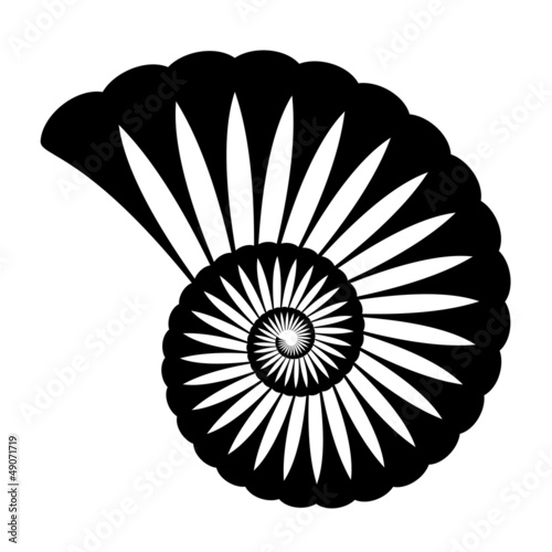 vector shell silhouette