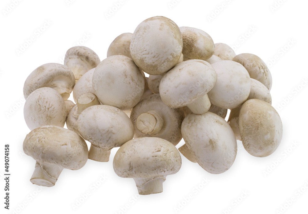 Delicious field mushrooms lie on each other. Delicious field mushrooms lie on each other.