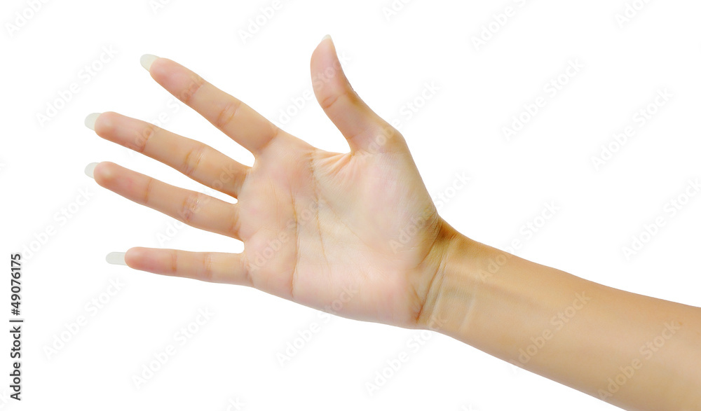 Woman hand (palm)