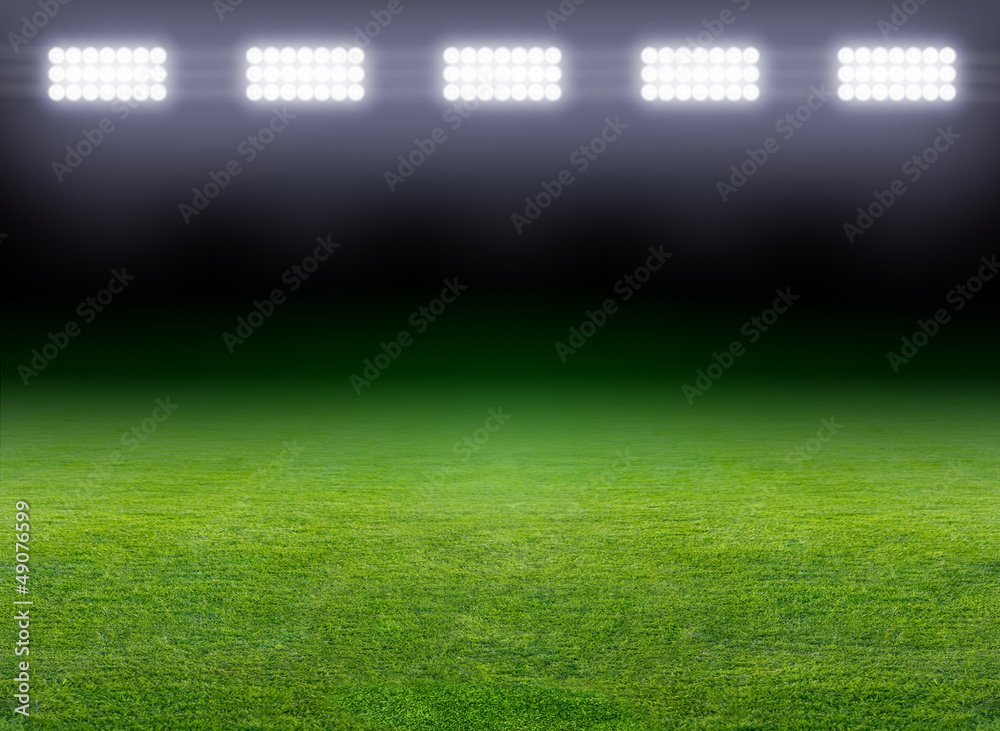 Fototapeta premium Green soccer field