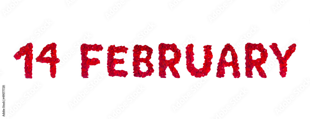 Text 14 february of rose petals isolated on white