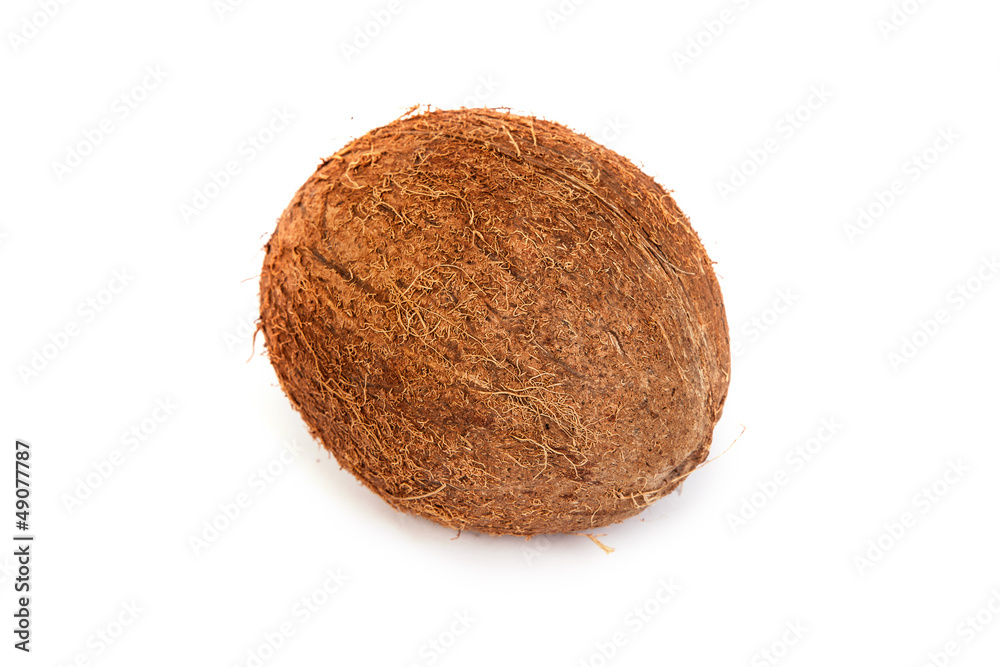 Coconut on a white background Coconut on a white background