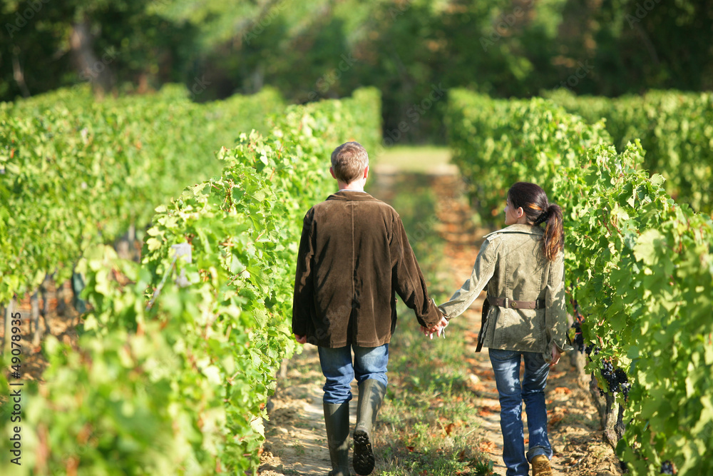 Couple walking in between rows of vines Couple walking in between rows of vines
