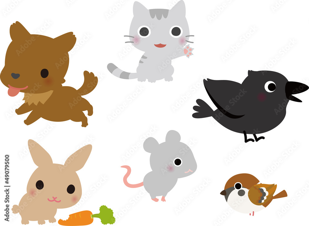 人間の暮らしに身近な動物たち 人間の暮らしに身近な動物たち