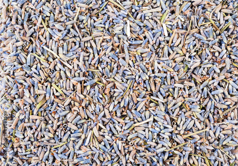 Background of dried lavender flowers Background of dried lavender flowers