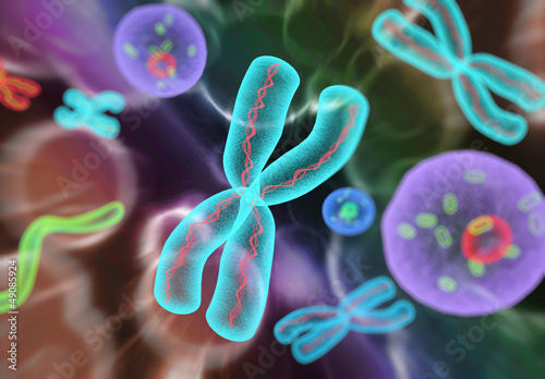 Células Moléculas Cromosomas