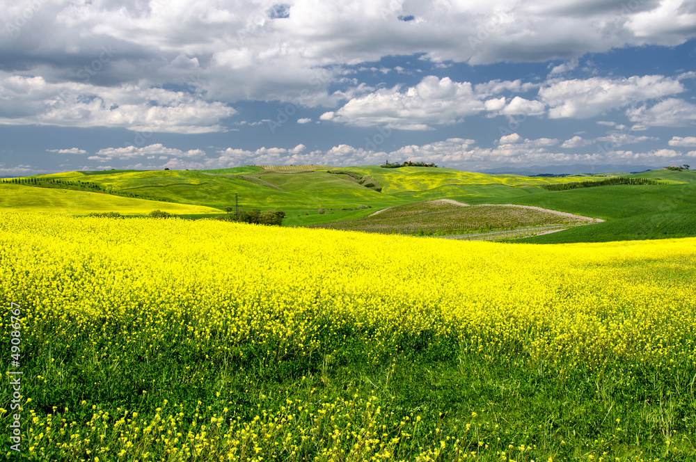 Scenic view of typical Tuscany spring time landscape