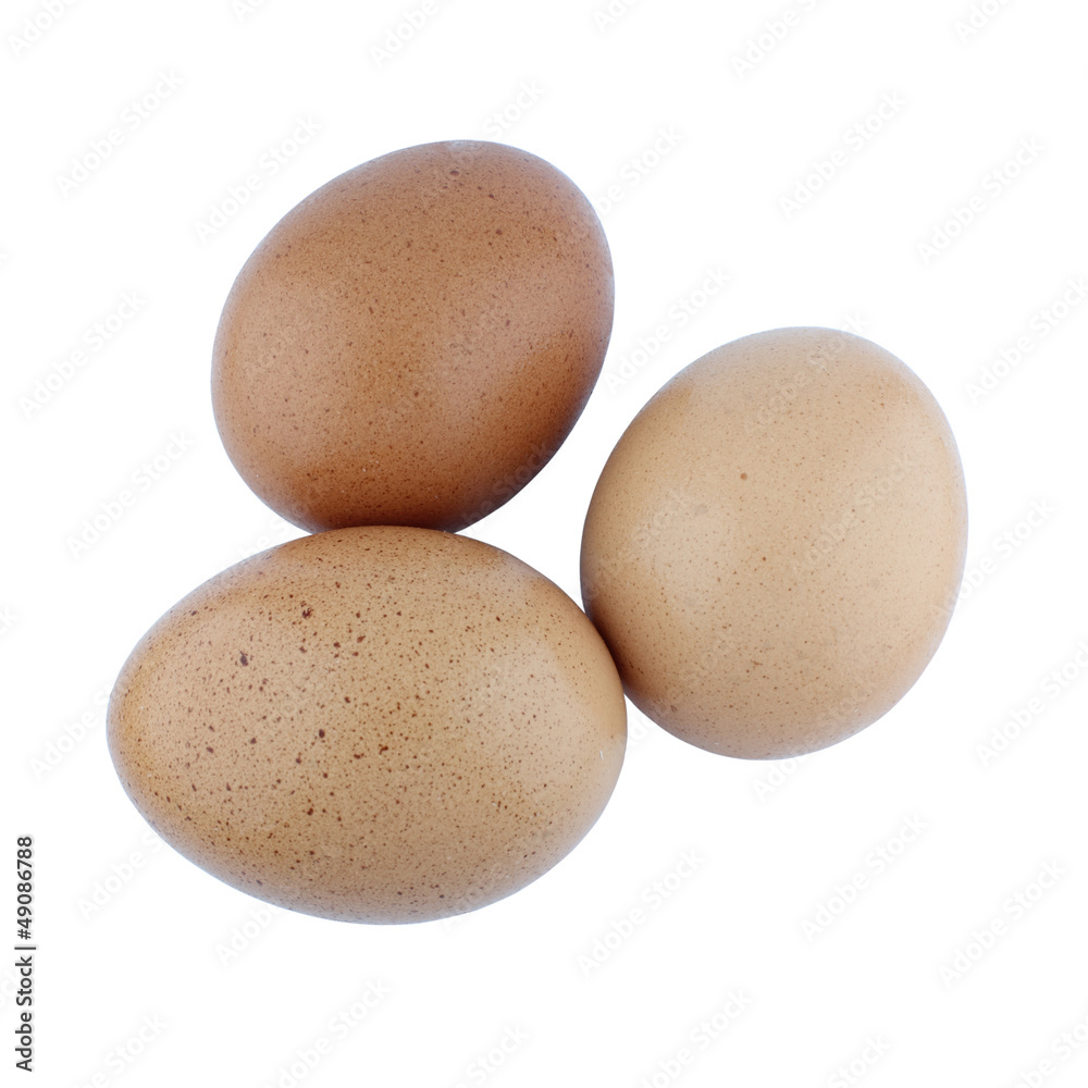 eggs on a white background eggs on a white background