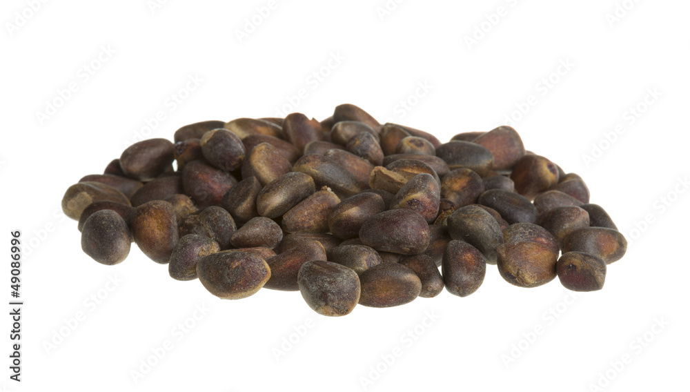 cedar nuts cedar nuts