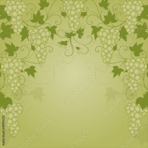 wein, weinblatt, weintraube, hintergrund, dekoration, vektor