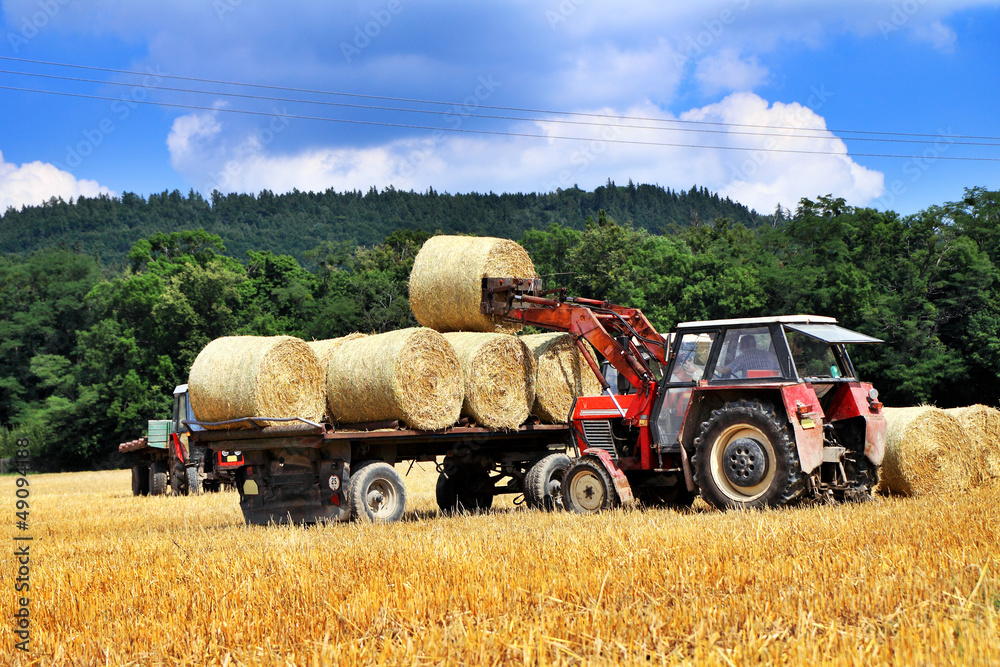 Obraz premium Tractor carrying hay at field in summer day