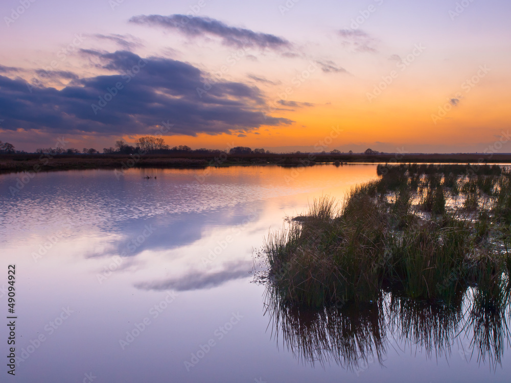wetland during sunset