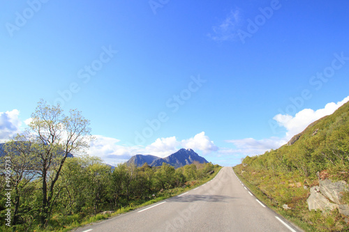 Lofoten's  main road