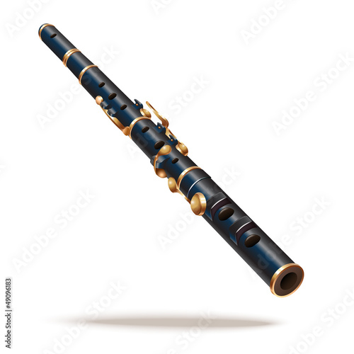 Classical flute. Isolated on white background