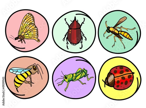 A Set of Insects on Round Background