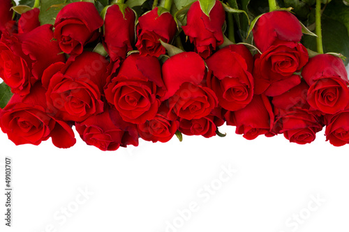border of fresh red  roses