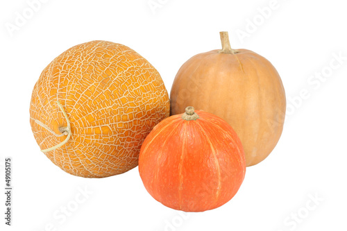 Two pumpkin and melon on a white background