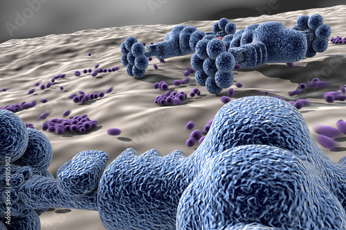 Nano robots - technology at the nano-scale