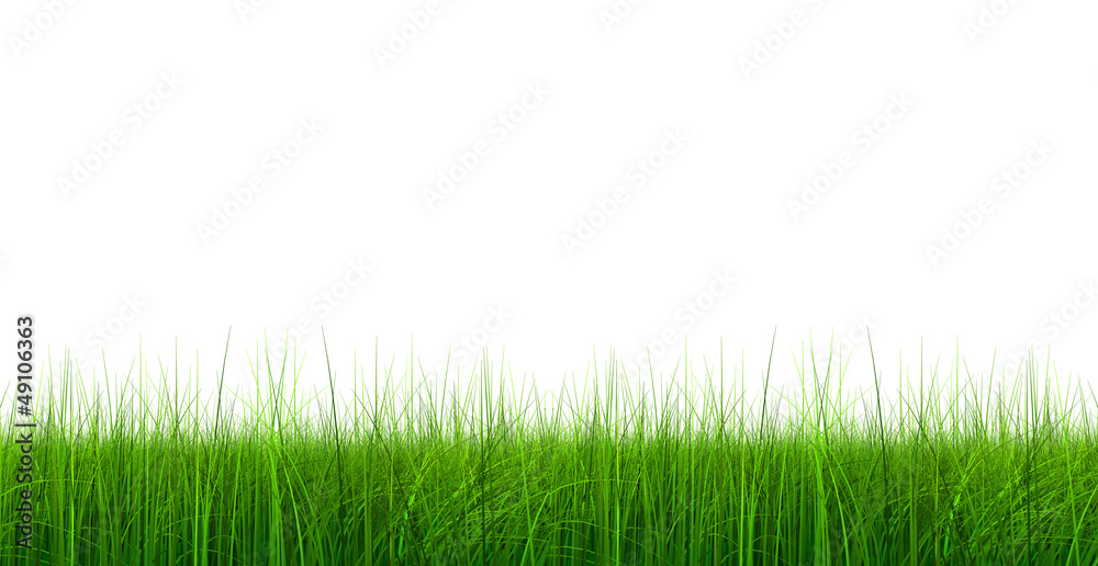 High resolution 3d green grass isolated on white High resolution 3d green grass isolated on white
