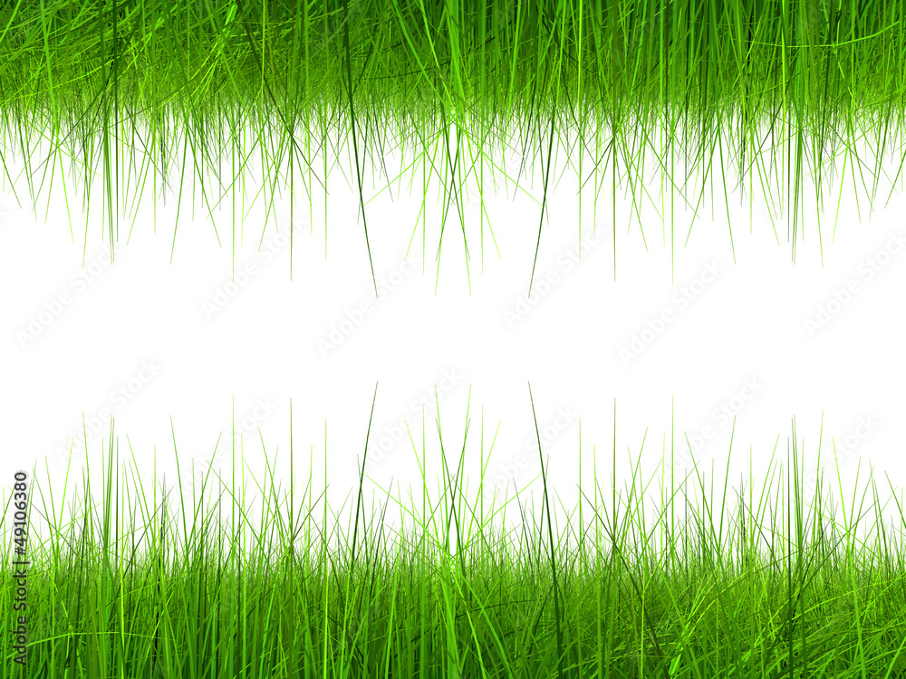Obraz premium High resolution 3d green grass frame isolated on white
