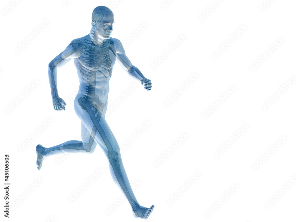 High resolution conceptual human for anatomy,medicine and health High resolution conceptual human for anatomy,medicine and health