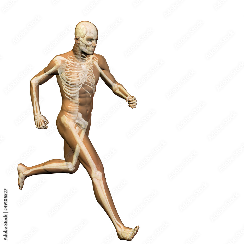 High resolution conceptual human for anatomy,medicine, health