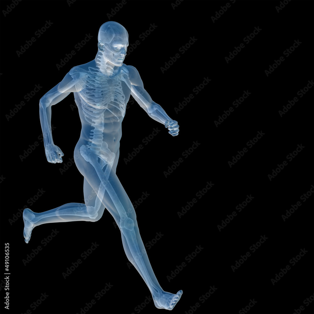 High resolution conceptual 3D human for anatomy High resolution conceptual 3D human for anatomy