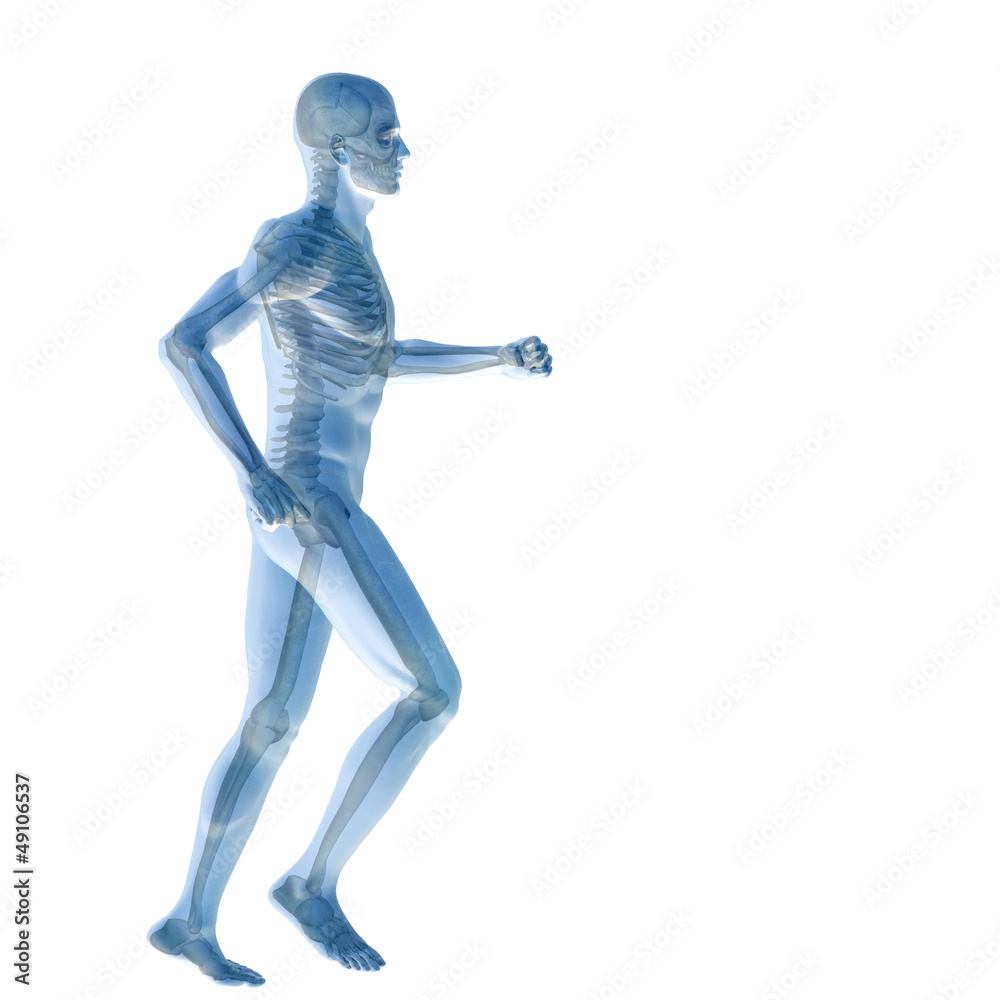 High resolution conceptual human for anatomy,medicine and health