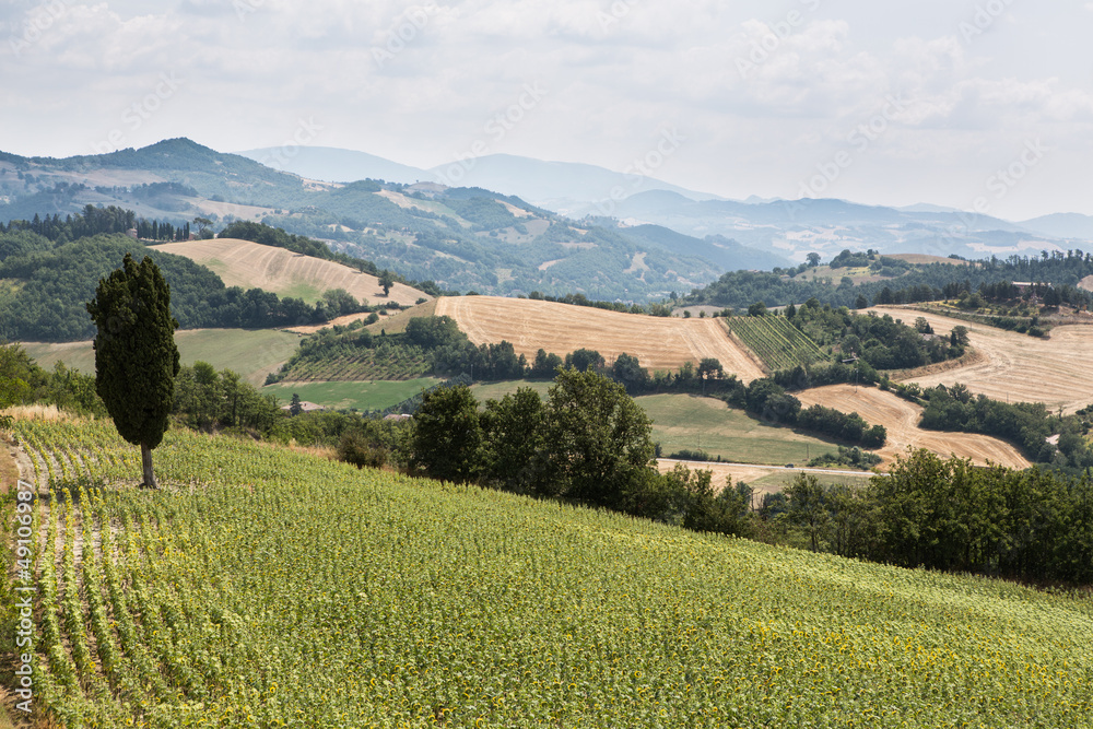 Landschaft in Marken Italien