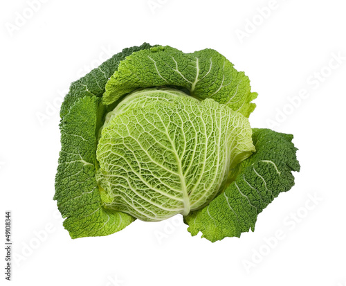 Head Savoy cabbage on a white background