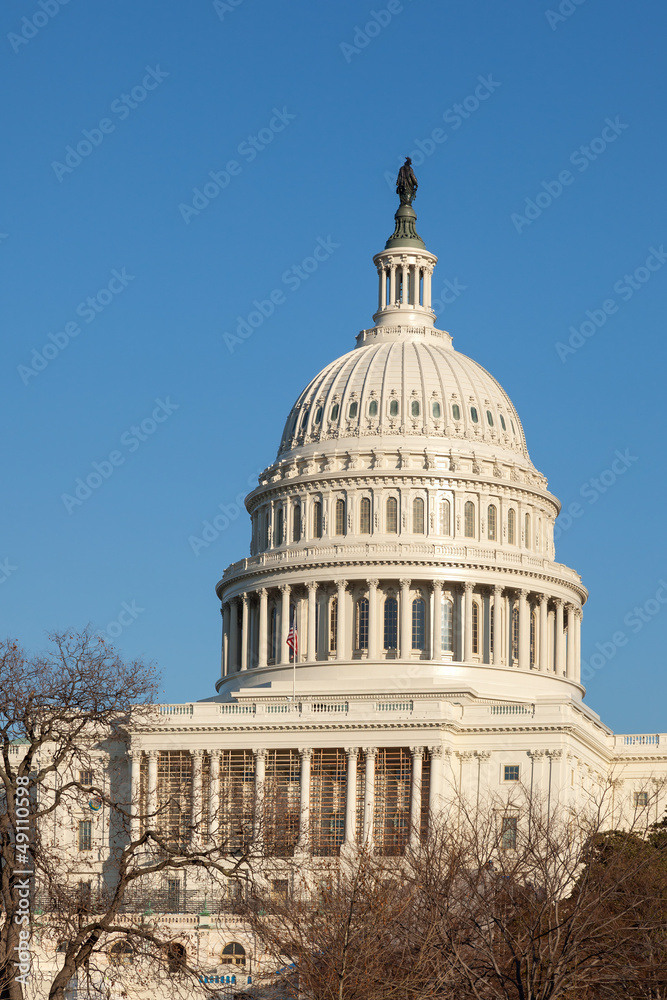 Fototapeta premium U.S. Capitol Dome Rear Face against Clear Blue Sky
