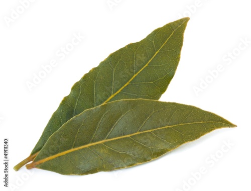 fresh bay leaves isolated on white background