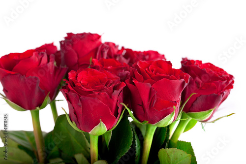 rote Rosen als Strau   vor wei  en Hintergrund