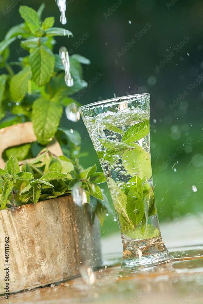 Fresh water with mint Fresh water with mint