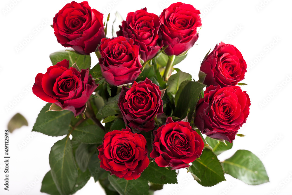 frischer Strauß rote Rosen