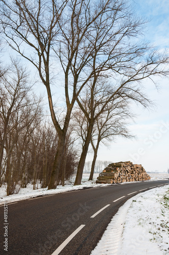Stock pile sawed trees along the side of the road in winter