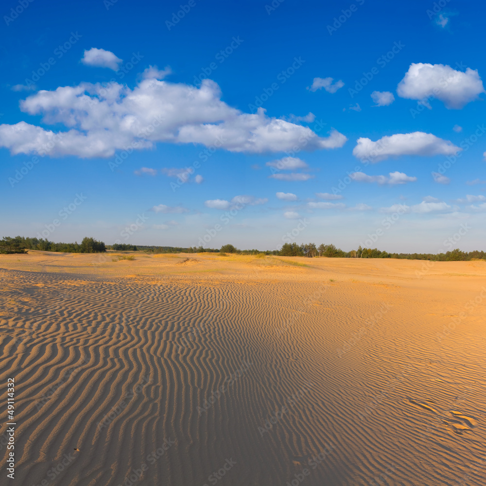 sand desert scene