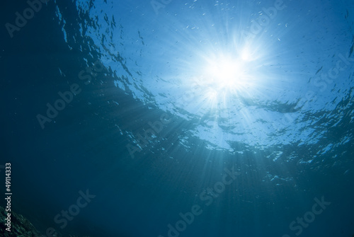海底から見た太陽 © blueworldsender