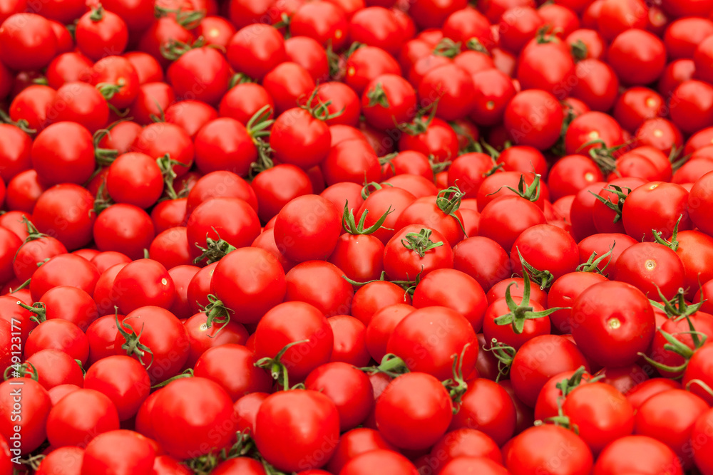 Harvest of red ripe tomatoes Harvest of red ripe tomatoes
