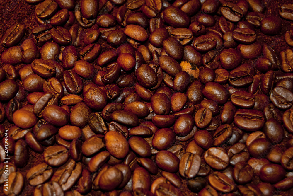 Fototapeta premium coffee