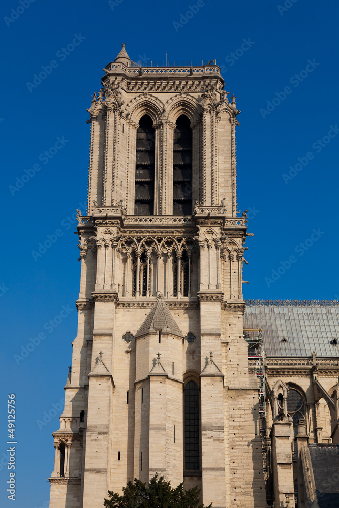 Cathedral of Notre Dame, Paris, Ile de France, France