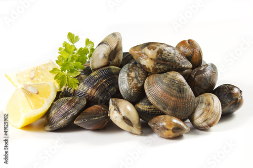 vongole veraci