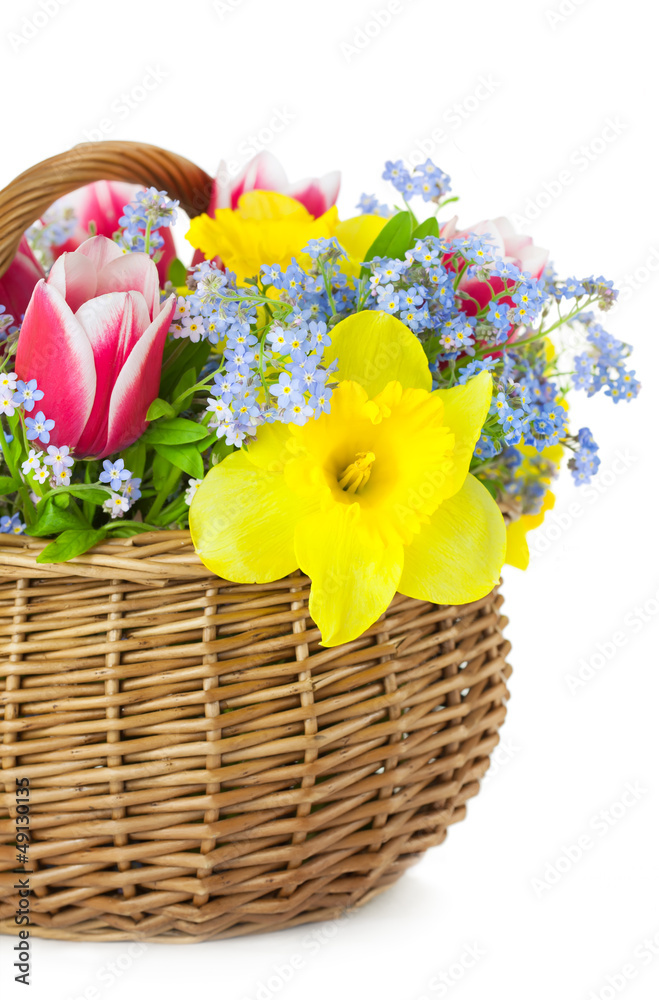 Bouquet of Spring Flowers in Basket  / isolated