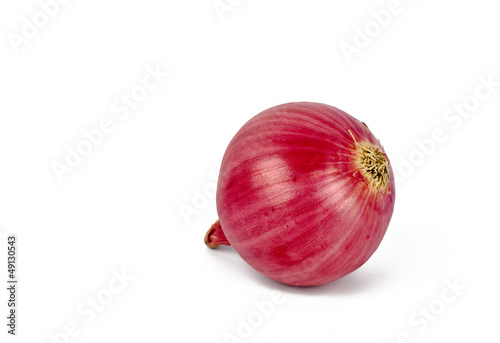 Single Onion
