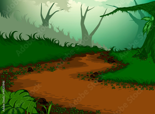 Beautiful green nature.Passages in forests