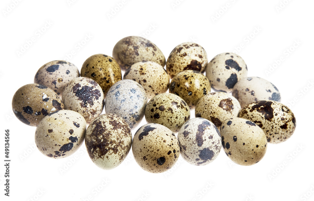 quail eggs on the white background