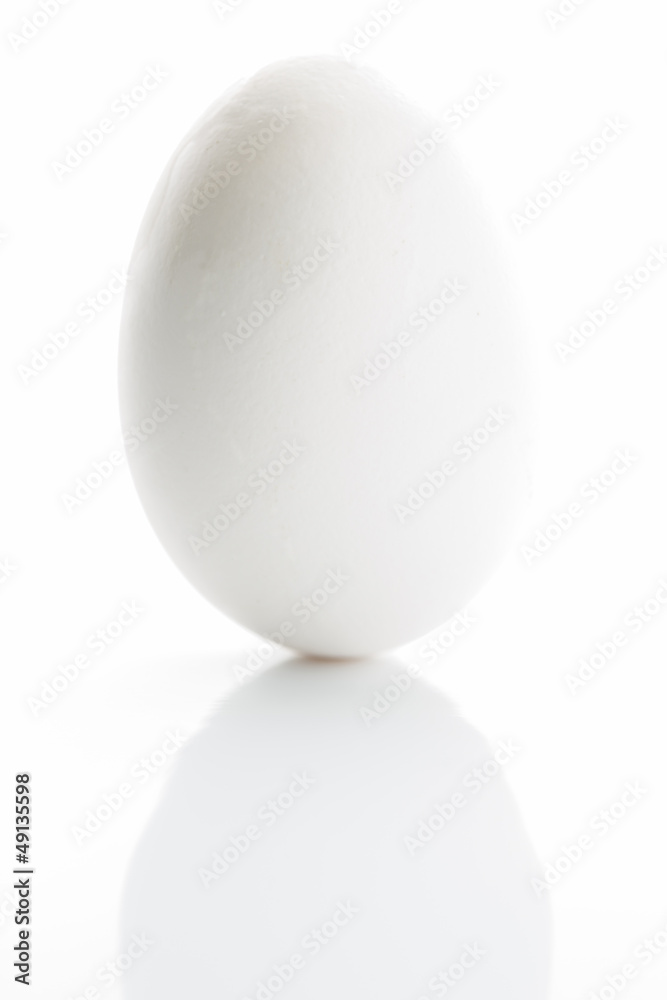 White egg isolated on white background White egg isolated on white background