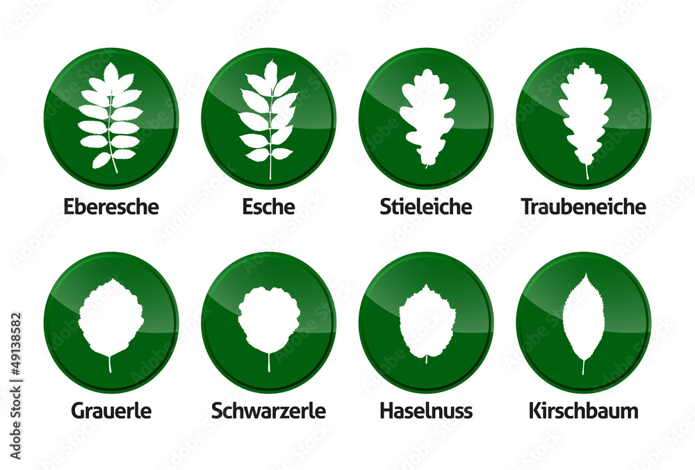 Obraz premium Laubblätter Buttons Vektor