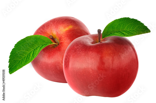 Two red apples with leaves